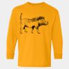  Heavy Cotton™ Long Sleeve T-Shirt (Youth) Thumbnail