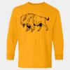  Heavy Cotton™ Long Sleeve T-Shirt (Youth) Thumbnail