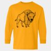  Heavy Cotton™ Long Sleeve T-Shirt (Youth) Thumbnail