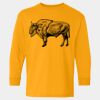  Heavy Cotton™ Long Sleeve T-Shirt (Youth) Thumbnail