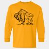  Heavy Cotton™ Long Sleeve T-Shirt (Youth) Thumbnail