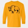  Heavy Cotton™ Long Sleeve T-Shirt (Youth) Thumbnail