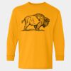  Heavy Cotton™ Long Sleeve T-Shirt (Youth) Thumbnail