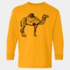  Heavy Cotton™ Long Sleeve T-Shirt (Youth) Thumbnail