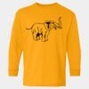  Heavy Cotton™ Long Sleeve T-Shirt (Youth) Thumbnail