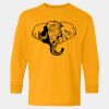 Heavy Cotton™ Long Sleeve T-Shirt (Youth) Thumbnail