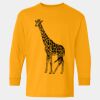  Heavy Cotton™ Long Sleeve T-Shirt (Youth) Thumbnail