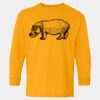  Heavy Cotton™ Long Sleeve T-Shirt (Youth) Thumbnail