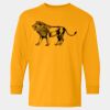  Heavy Cotton™ Long Sleeve T-Shirt (Youth) Thumbnail