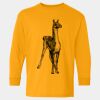  Heavy Cotton™ Long Sleeve T-Shirt (Youth) Thumbnail