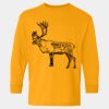  Heavy Cotton™ Long Sleeve T-Shirt (Youth) Thumbnail
