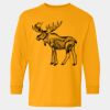  Heavy Cotton™ Long Sleeve T-Shirt (Youth) Thumbnail