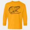  Heavy Cotton™ Long Sleeve T-Shirt (Youth) Thumbnail