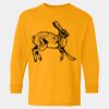  Heavy Cotton™ Long Sleeve T-Shirt (Youth) Thumbnail
