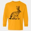  Heavy Cotton™ Long Sleeve T-Shirt (Youth) Thumbnail