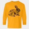  Heavy Cotton™ Long Sleeve T-Shirt (Youth) Thumbnail