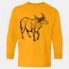  Heavy Cotton™ Long Sleeve T-Shirt (Youth) Thumbnail