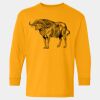  Heavy Cotton™ Long Sleeve T-Shirt (Youth) Thumbnail