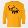  Heavy Cotton™ Long Sleeve T-Shirt (Youth) Thumbnail