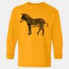  Heavy Cotton™ Long Sleeve T-Shirt (Youth) Thumbnail