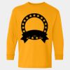  Heavy Cotton™ Long Sleeve T-Shirt (Youth) Thumbnail