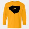  Heavy Cotton™ Long Sleeve T-Shirt (Youth) Thumbnail