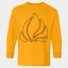  Heavy Cotton™ Long Sleeve T-Shirt (Youth) Thumbnail