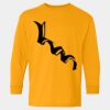  Heavy Cotton™ Long Sleeve T-Shirt (Youth) Thumbnail