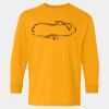  Heavy Cotton™ Long Sleeve T-Shirt (Youth) Thumbnail