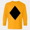  Heavy Cotton™ Long Sleeve T-Shirt (Youth) Thumbnail