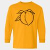  Heavy Cotton™ Long Sleeve T-Shirt (Youth) Thumbnail
