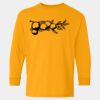  Heavy Cotton™ Long Sleeve T-Shirt (Youth) Thumbnail