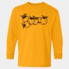  Heavy Cotton™ Long Sleeve T-Shirt (Youth) Thumbnail