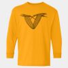  Heavy Cotton™ Long Sleeve T-Shirt (Youth) Thumbnail