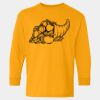  Heavy Cotton™ Long Sleeve T-Shirt (Youth) Thumbnail
