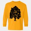  Heavy Cotton™ Long Sleeve T-Shirt (Youth) Thumbnail