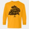  Heavy Cotton™ Long Sleeve T-Shirt (Youth) Thumbnail