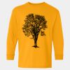  Heavy Cotton™ Long Sleeve T-Shirt (Youth) Thumbnail
