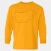  Heavy Cotton™ Long Sleeve T-Shirt (Youth) Thumbnail