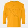  Heavy Cotton™ Long Sleeve T-Shirt (Youth) Thumbnail