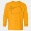  Heavy Cotton™ Long Sleeve T-Shirt (Youth) Thumbnail