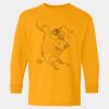 Heavy Cotton™ Long Sleeve T-Shirt (Youth) Thumbnail