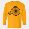  Heavy Cotton™ Long Sleeve T-Shirt (Youth) Thumbnail