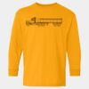  Heavy Cotton™ Long Sleeve T-Shirt (Youth) Thumbnail