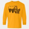  Heavy Cotton™ Long Sleeve T-Shirt (Youth) Thumbnail