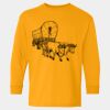  Heavy Cotton™ Long Sleeve T-Shirt (Youth) Thumbnail