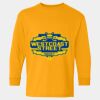  Heavy Cotton™ Long Sleeve T-Shirt (Youth) Thumbnail
