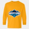  Heavy Cotton™ Long Sleeve T-Shirt (Youth) Thumbnail