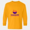  Heavy Cotton™ Long Sleeve T-Shirt (Youth) Thumbnail