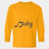 Heavy Cotton™ Long Sleeve T-Shirt (Youth) Thumbnail